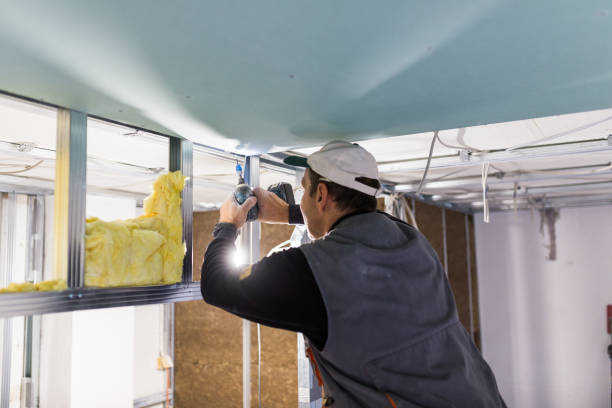 Insulation Replacement Services in Ocklawaha, FL