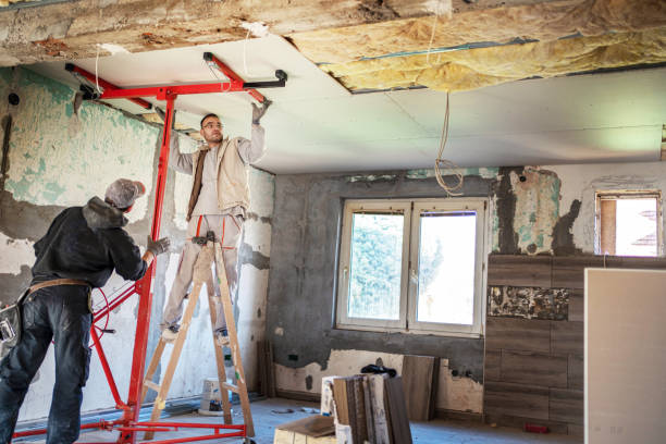 Insulation Repair Services in Ocklawaha, FL